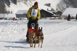 Lenk 2012 SM